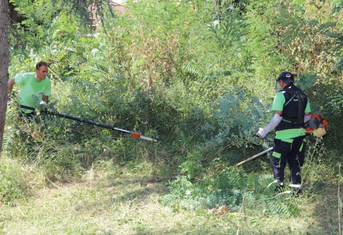 Körfez’de Yabani Ot Biçme Çalışmaları Sürüyor