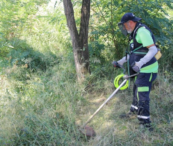 Körfez’de Yabani Ot Biçme Çalışmaları Sürüyor