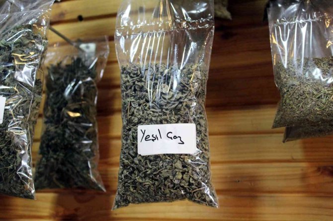 Artan Kovid Vakalarına Doğal Çare