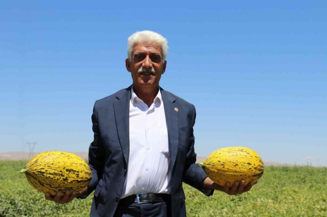 Yazıhan Ovasında Bereket Artıyor