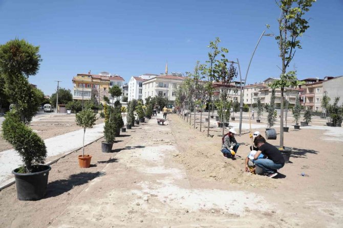 Nevşehir’de Parklar Ağaçlandırılıyor