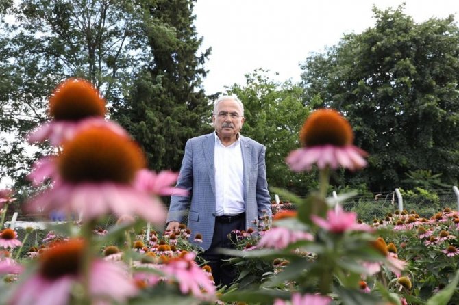 Ordu, Tıbbi Ve Aromatik Bitki Üretimine Göz Kırpıyor