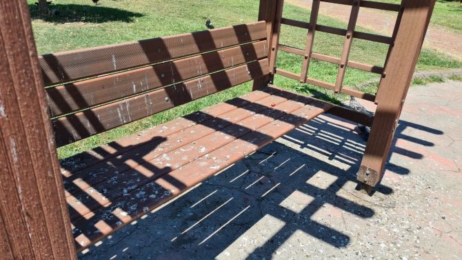 Atatürk Parkı Bakımsızlıktan Kaderine Bırakıldı