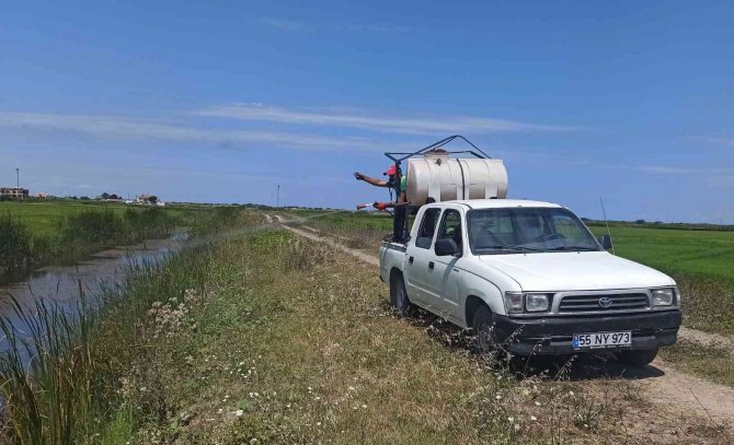 Çeltik Alanlarında Larva İle Mücadele