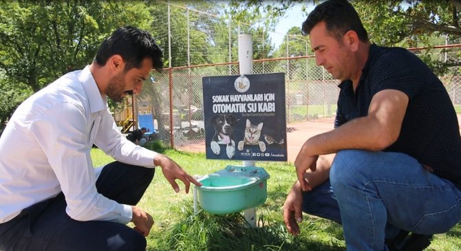 Sokak Hayvanları İçin Otomatik Sulama Sistemi