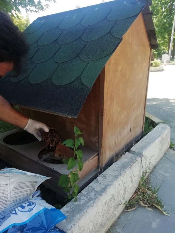 Sokak Hayvanları İçin Yemleme Çalışması Yapıldı