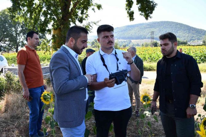 Kestel’de Çayır Tırtılı İstilasına Dronlu Önlem