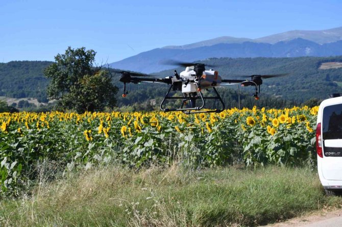Kestel’de Çayır Tırtılı İstilasına Dronlu Önlem