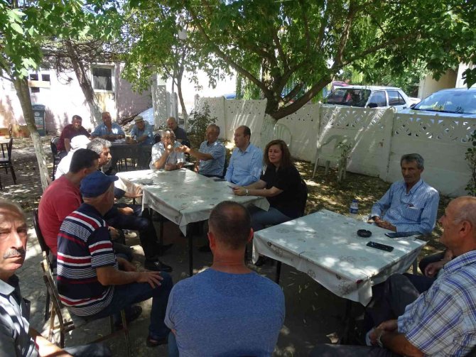 Trakya’da Çayır Tırtılı İle Mücadele Devam Ediyor