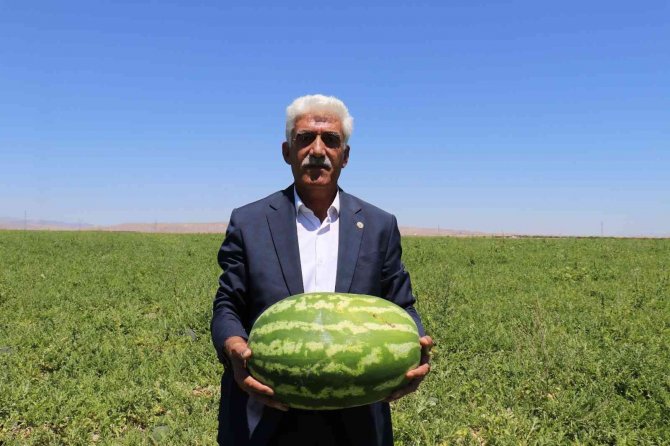 Yazıhan Ovasında Bereket Artıyor