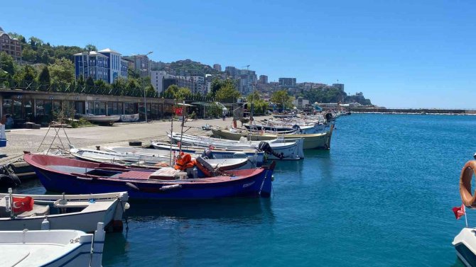 Kozlu Su Ürünleri Kooperatifi Başkanı Ergün Kayhan;
