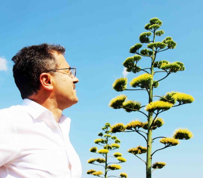 Unesco Dünya Kültür Mirası Listesinde