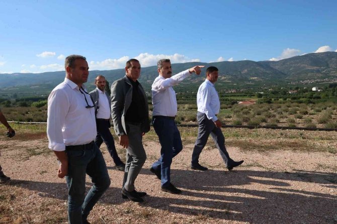 Yeni Tokat Havalimanı Lavanta Açacak