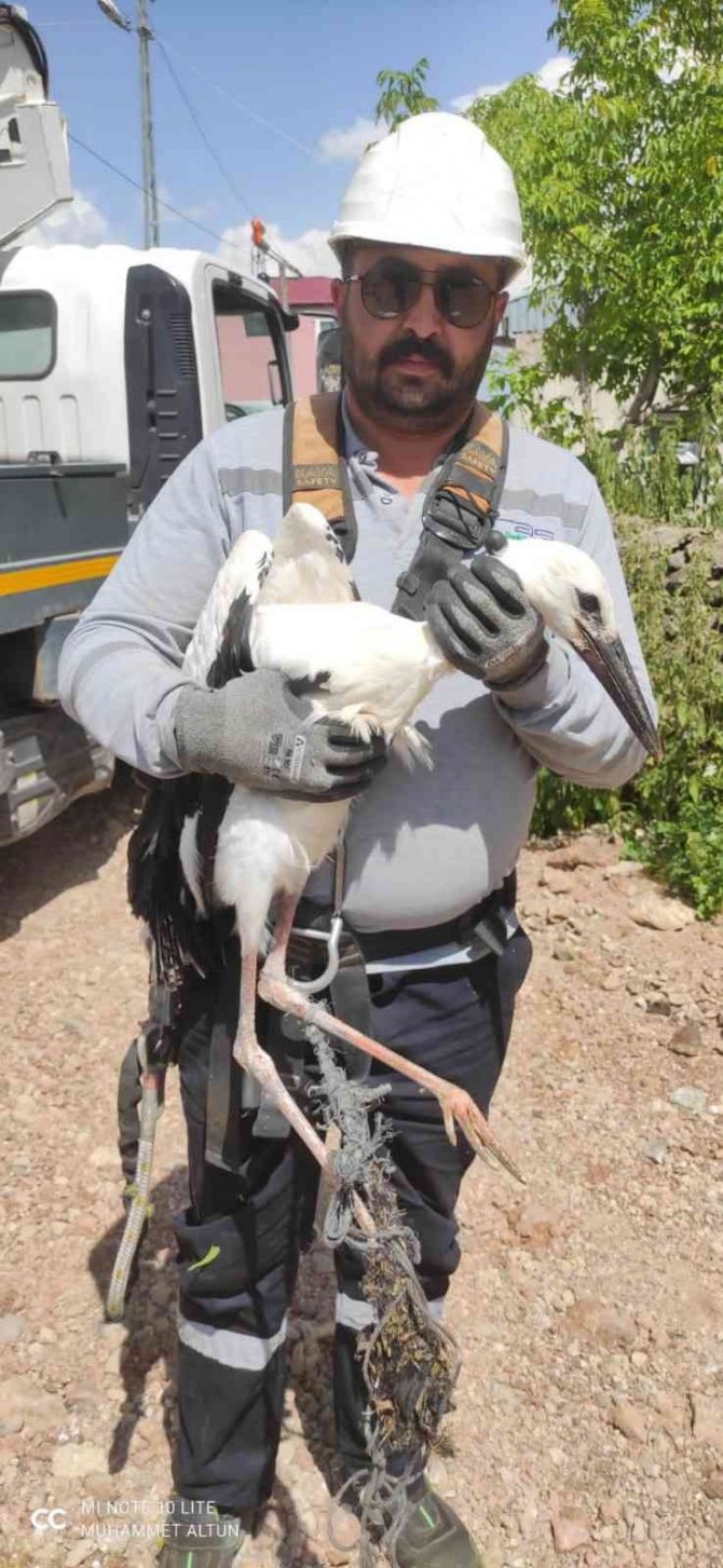 Yuvada Ayağına İp Dolanan Leylek, Ekiplerce Kurtarıldı