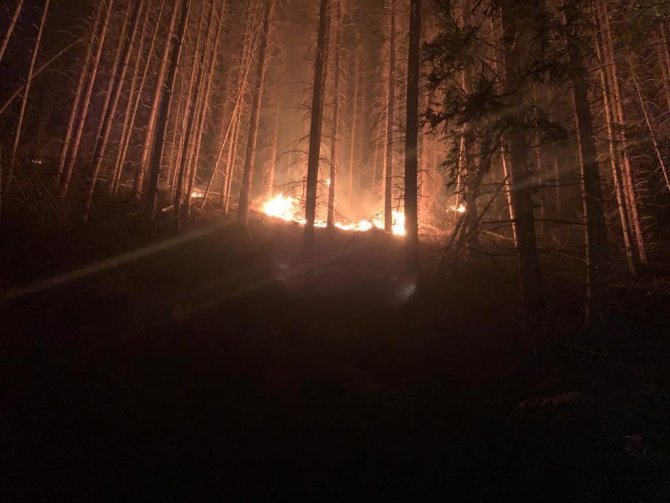 Çekya’daki Orman Yangınında Bin Hektarlık Alan Kül Oldu