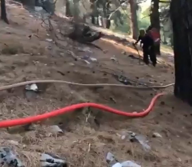 Büyük Manavgat Yangınında Ormancılara Sırtında Erzak Taşıdı, Yıl Dönümünde Çiçeklerle Ziyaret Edildi