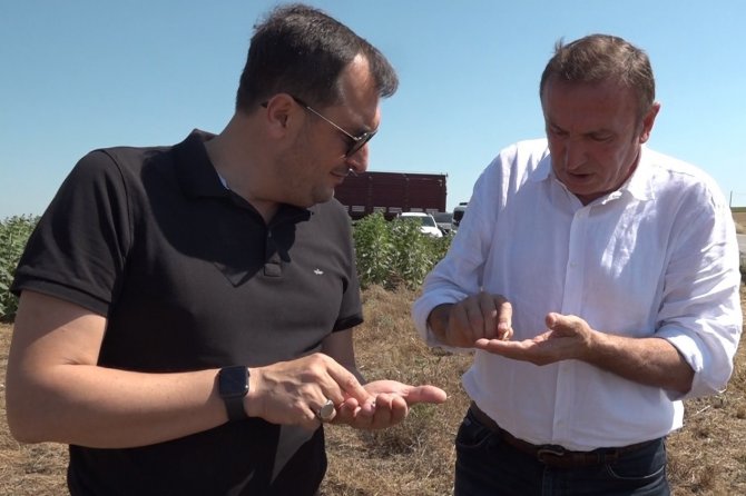 Kendi Tarlasından Vatandaşın Sofrasına