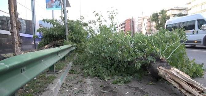 Ağaçları Yerinden Söken Kamyonet Yan Yattı: 2 Kişi Yaralandı