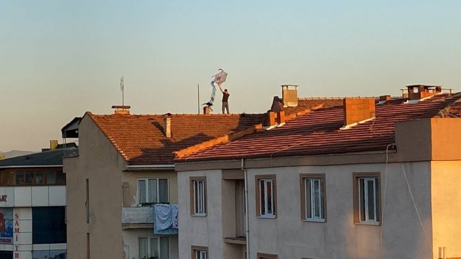 Ölümüne Eğlence