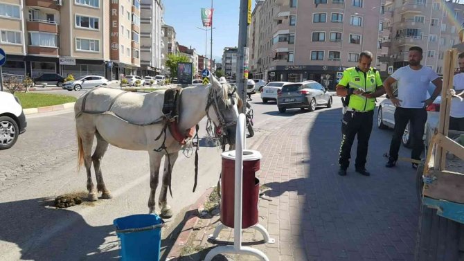 Başıboş At Trafiği Altüst Etti