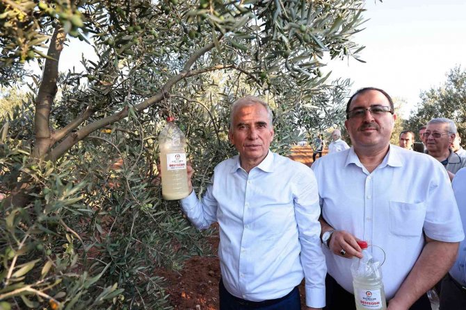 Zeytincinin Haşerelere Karşı Mücadelesine Önemli Destek