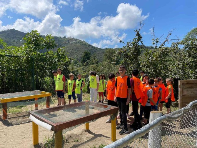 Yaz Tatilinde Eğlenerek Öğreniyorlar