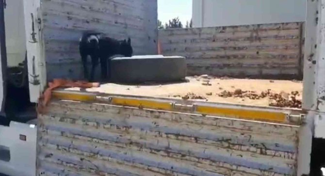 Hatay’da 41 Kilo Metamfetamin İle 6,4 Kilo Eroin Ele Geçirildi