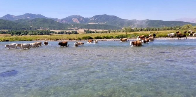 Erzincan’da Tatilciler Serinlemek İçin Şelalelere Akın Ediyor