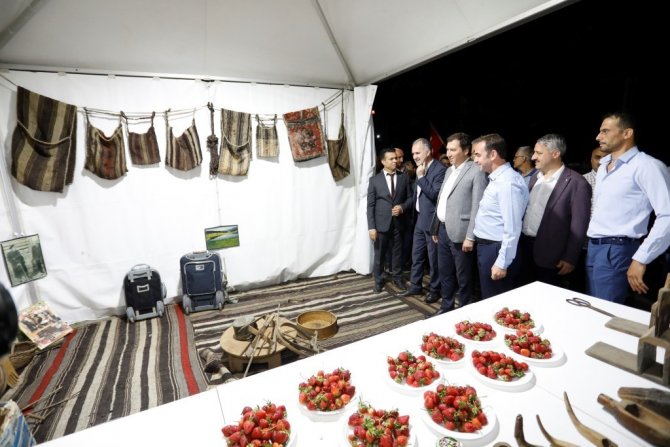 Kültür Başkenti İ̇negöl