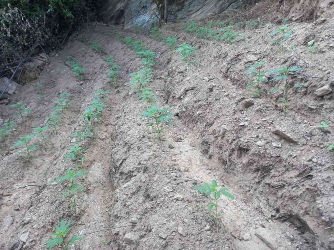 İ̇zmir’in 8 İlçesinde Zehir Baskını: 48 Gözaltı