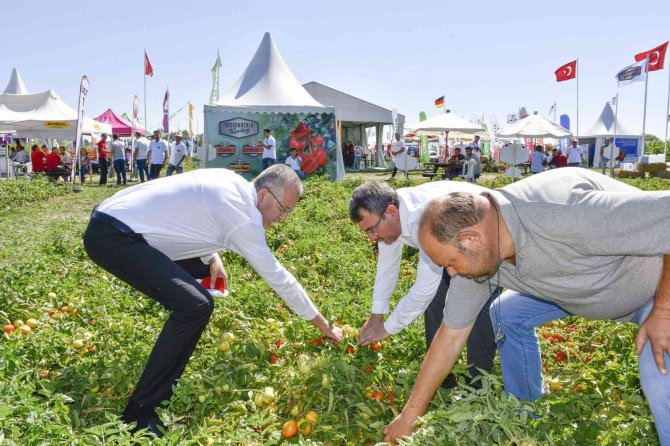 Salçalık Domateste Marka Olan Karacabey’de Domates Fuarı