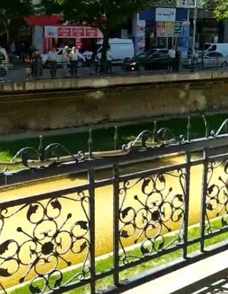 Korkuluklardaki Yılan Paniğe Yol Açtı