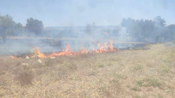 Boş Arazide Çıkan Yangın Ekili Alana Ulaşmadan Söndürüldü