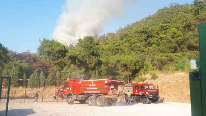 Marmaris Orman Yangınına Müdahale Devam Ediyor
