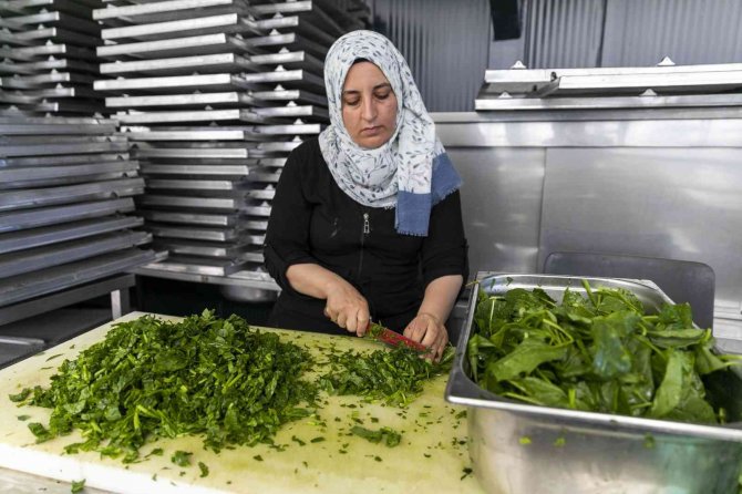 Mersin’de Sebze Ve Meyveler Güneş Enerjisi İle Kurutuluyor