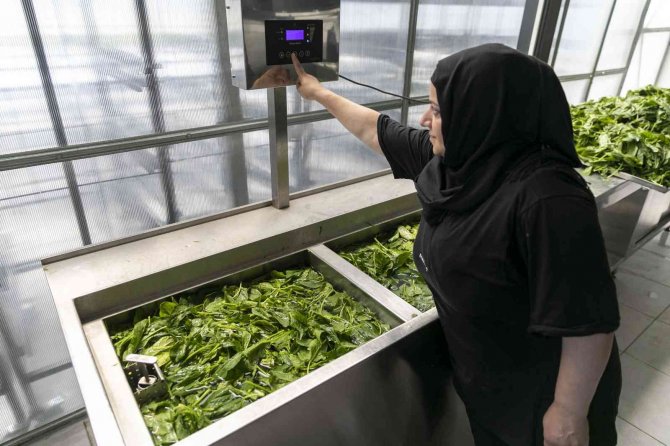 Mersin’de Sebze Ve Meyveler Güneş Enerjisi İle Kurutuluyor