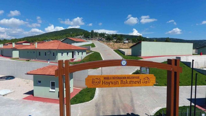 26 Bin 529 Hayvanı Tedavi Edildi