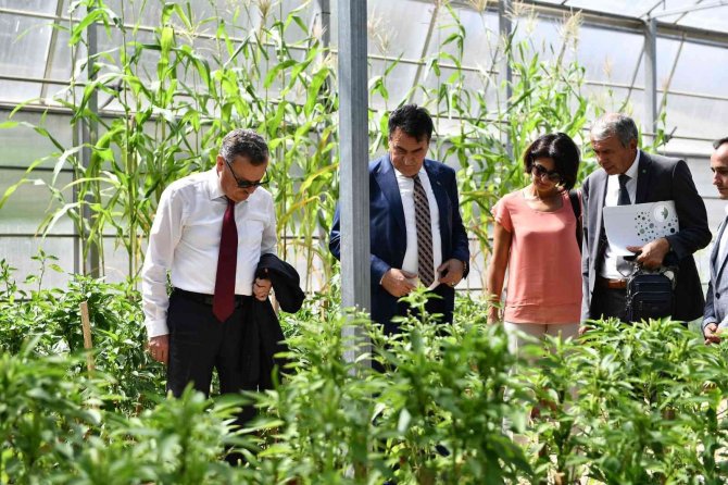 Bursa’da Yerli Ve Milli Tohum İçin İşbirliği