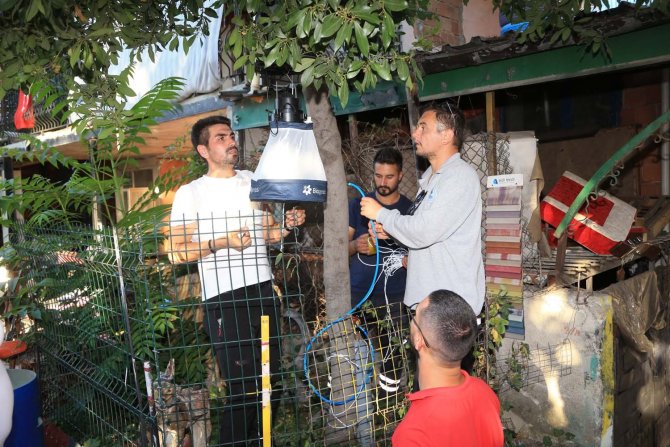 Asya Kaplan Sivrisineğine Karşı Önlem Alınıyor