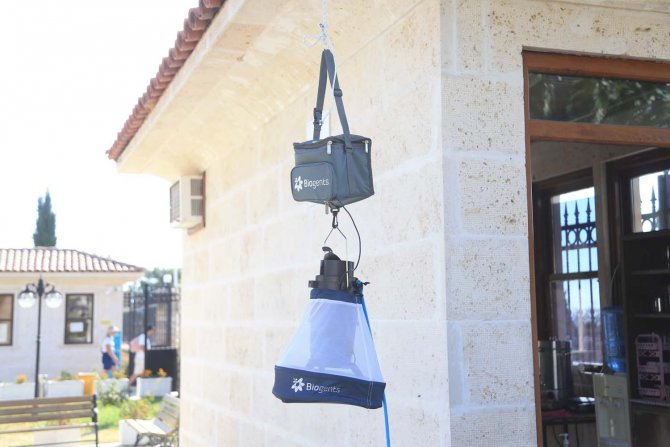 Asya Kaplan Sivrisineğine Karşı Önlem Alınıyor