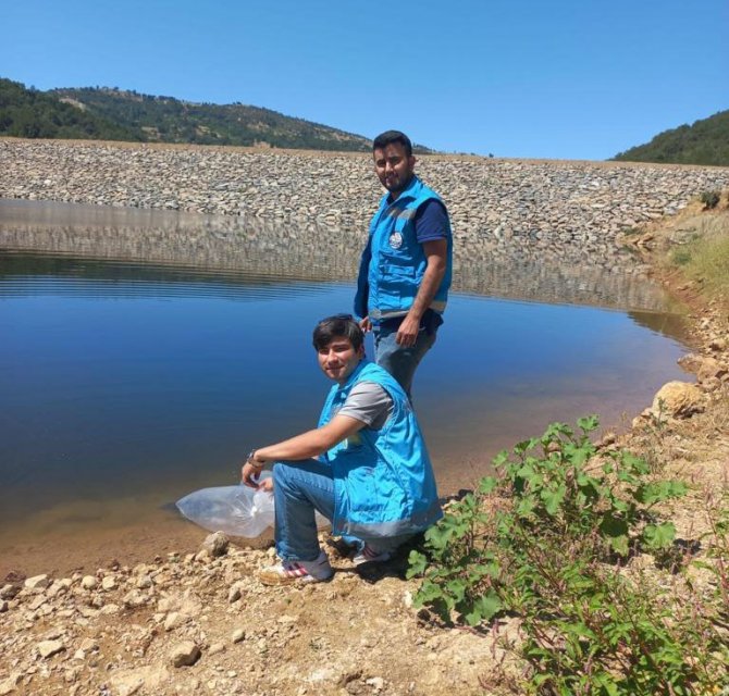 Pazarlar’daki Göletlere 36 Bin Adet Pullu Sazan Balığı Yavrusu Bırakıldı