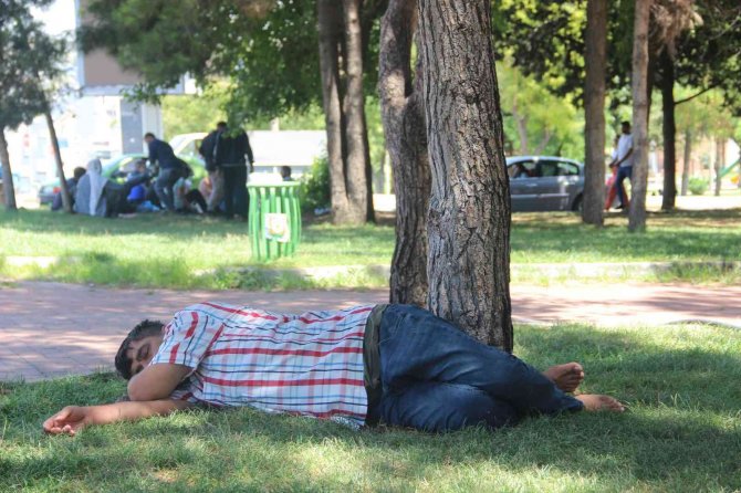 Sıcaktan Bunalan Çocuklar Süs Havuzlarında Serinledi