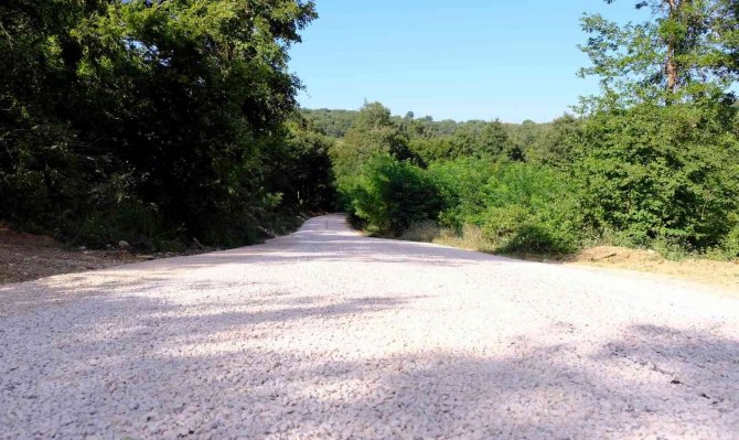 Sinop’un Dört Yeni Mahallesinde İyileştirme Çalışmaları Sürüyor