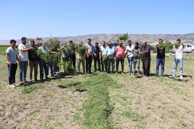 Aracılara Sinirlenip İ̇stanbul’a 2 Gün Boyunca Ürün Göndermeyi Durdurdular