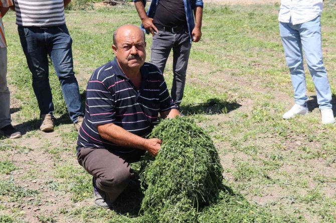 Aracılara Sinirlenip İ̇stanbul’a 2 Gün Boyunca Ürün Göndermeyi Durdurdular