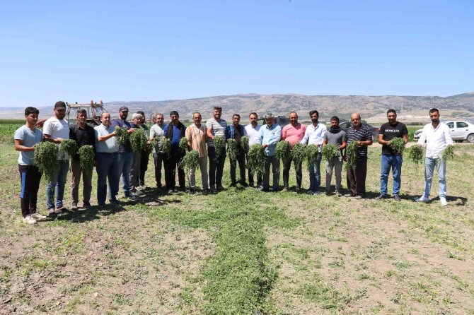 Aracılara Sinirlenip İ̇stanbul’a 2 Gün Boyunca Ürün Göndermeyi Durdurdular
