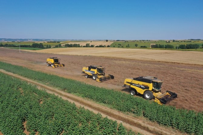 Kendi Tarlasından Vatandaşın Sofrasına