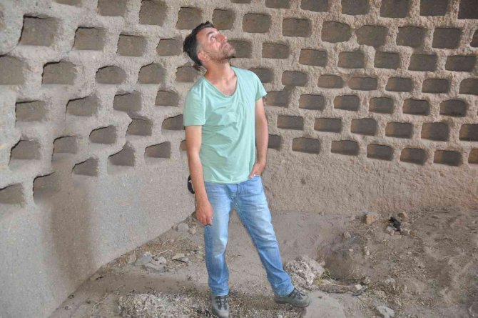 Ani’nin Gizemli Yüzü “Güvercinlikler”, Görenleri Hayran Bırakıyor