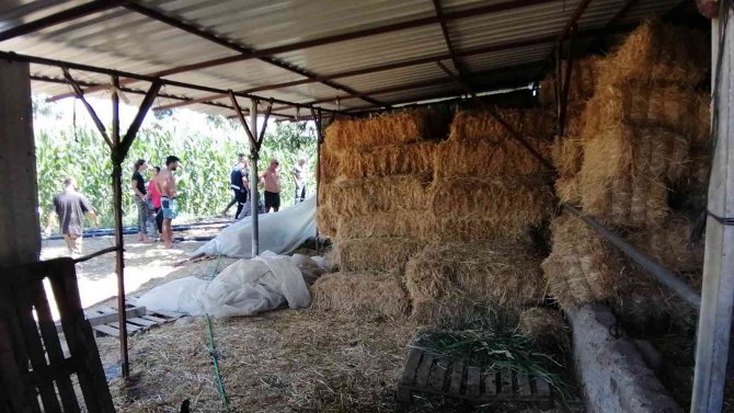 Manavgat Yangının Yıldönümünde Yine Yangınla Mücadele Etti