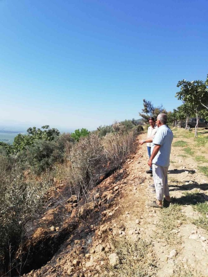 Yangından Zarar Gören Bahçelerde İncelemede Bulunuldu